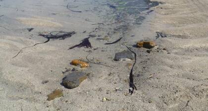 Kirkwall Youth Hostel