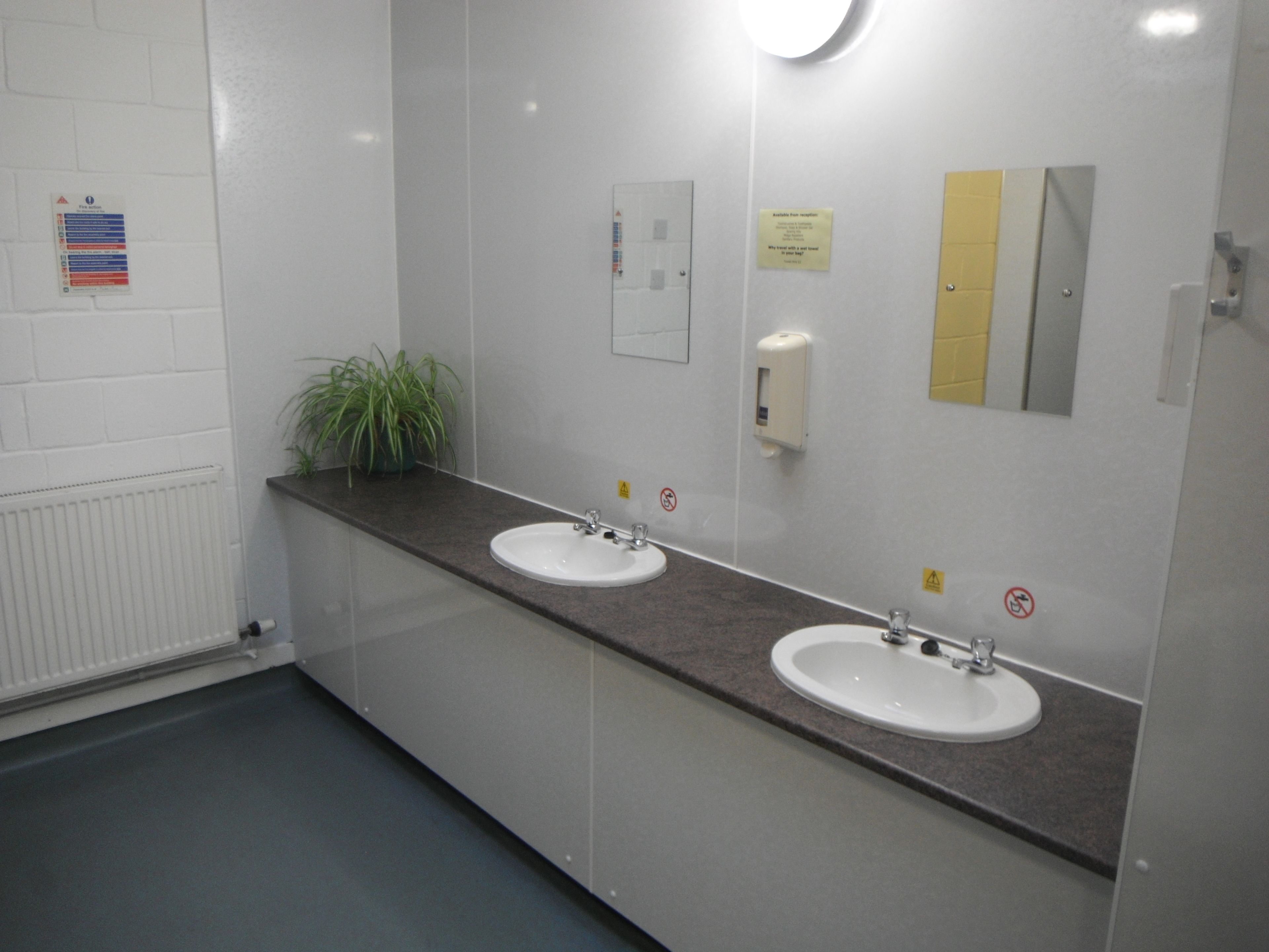 Des toilettes publiques équipées de deux lavabos, d’un miroir, d’une plante et d’un distributeur de gel hydroalcoolique.