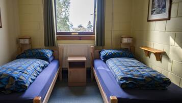 Un dormitorio con dos camas individuales, una mesita, un radiador, una ventana con cortinas y un cuadro en la pared.