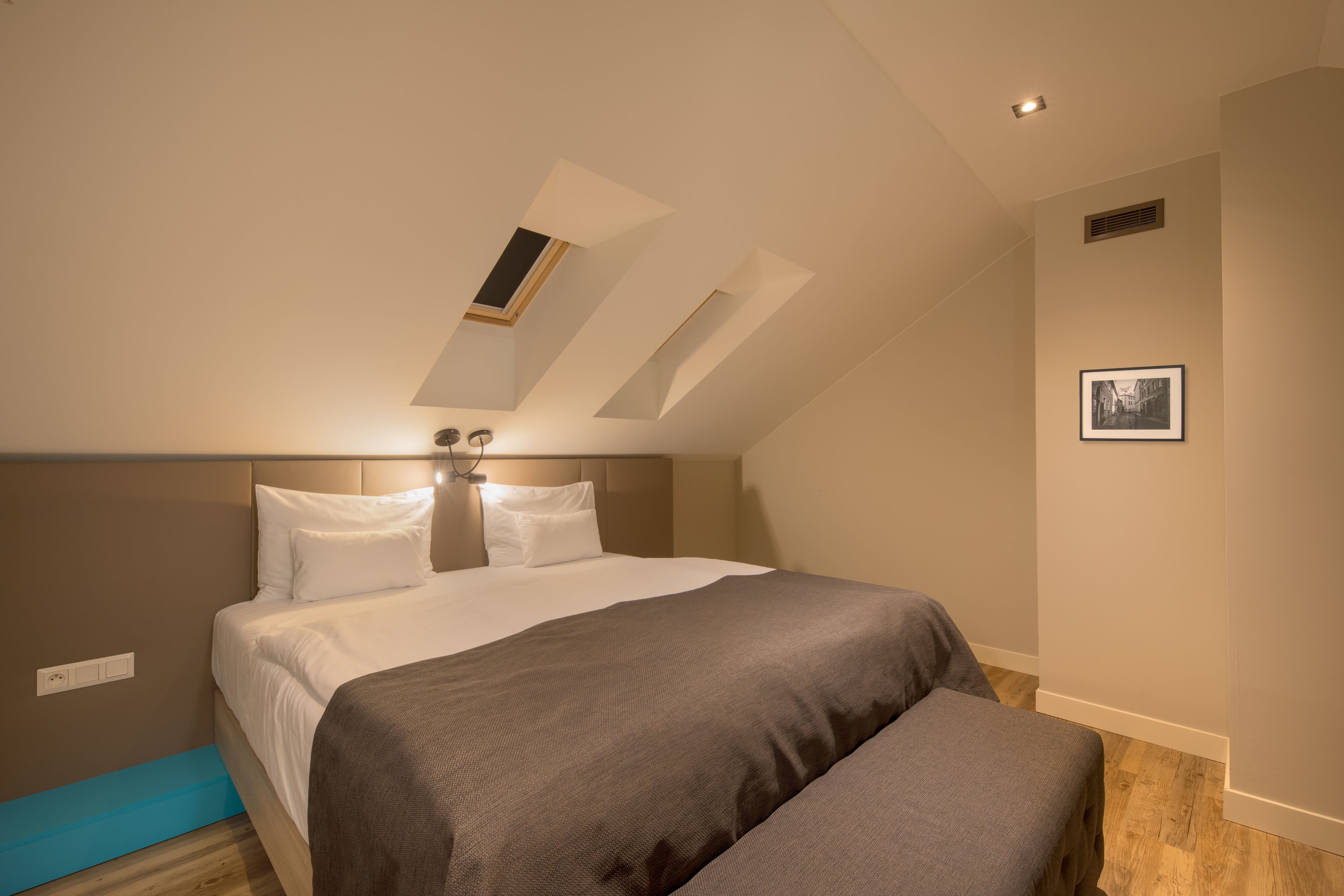 A bedroom with a bed, a skylight, a picture on the wall, and a blue mat on the floor.