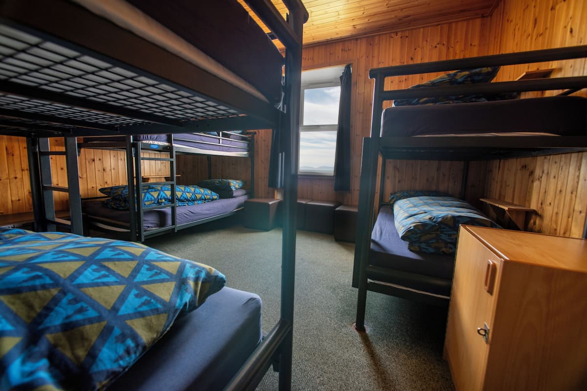 A cabin with bunk beds, wooden walls, and a window with a view.