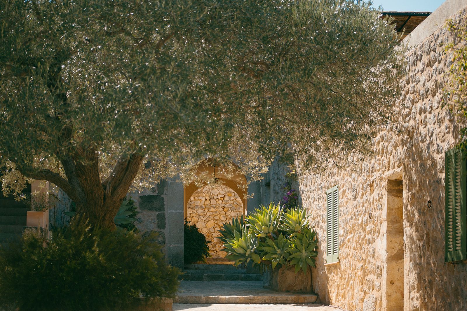 Un arco de piedra que da acceso a un patio con un árbol y plantas en macetas.