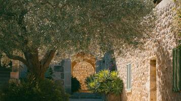 Un arco de piedra que da acceso a un patio con un árbol y plantas en macetas.