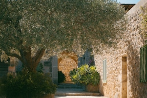 Un arco de piedra que da acceso a un patio con un árbol y plantas en macetas.