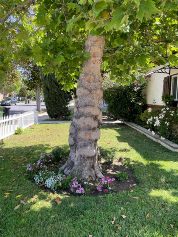 Front of property