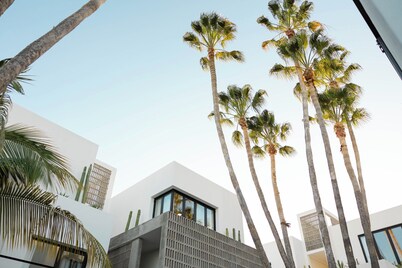 Drift San Jose del Cabo, a Member of Design Hotels