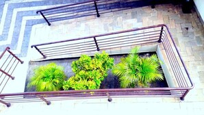 Un escalier avec des rampes en métal et un bac à fleurs contenant des plantes vertes.