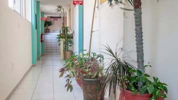 Pasillo