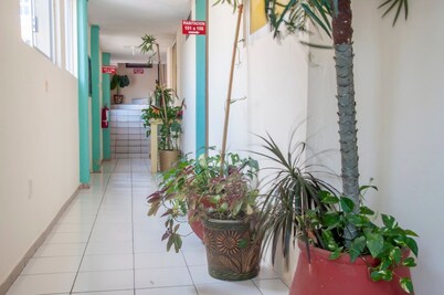 Hotel y Suites Continental