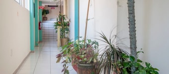Hotel y Suites Continental