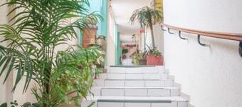 Hotel y Suites Continental