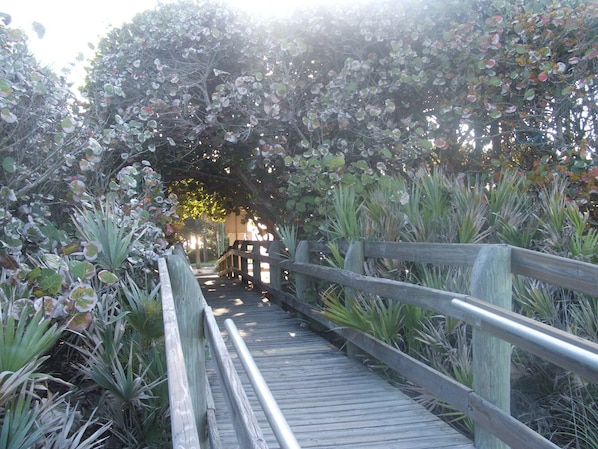 Une promenade en bois traverse un jardin luxuriant où poussent différentes espèces de plantes, et une structure en bois se dresse à l’arrière-plan.