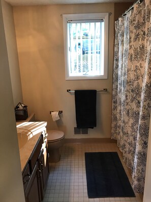 Combined shower/tub, hair dryer, towels, soap