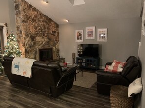 Televisión, chimenea, videojuegos y reproductor de DVD