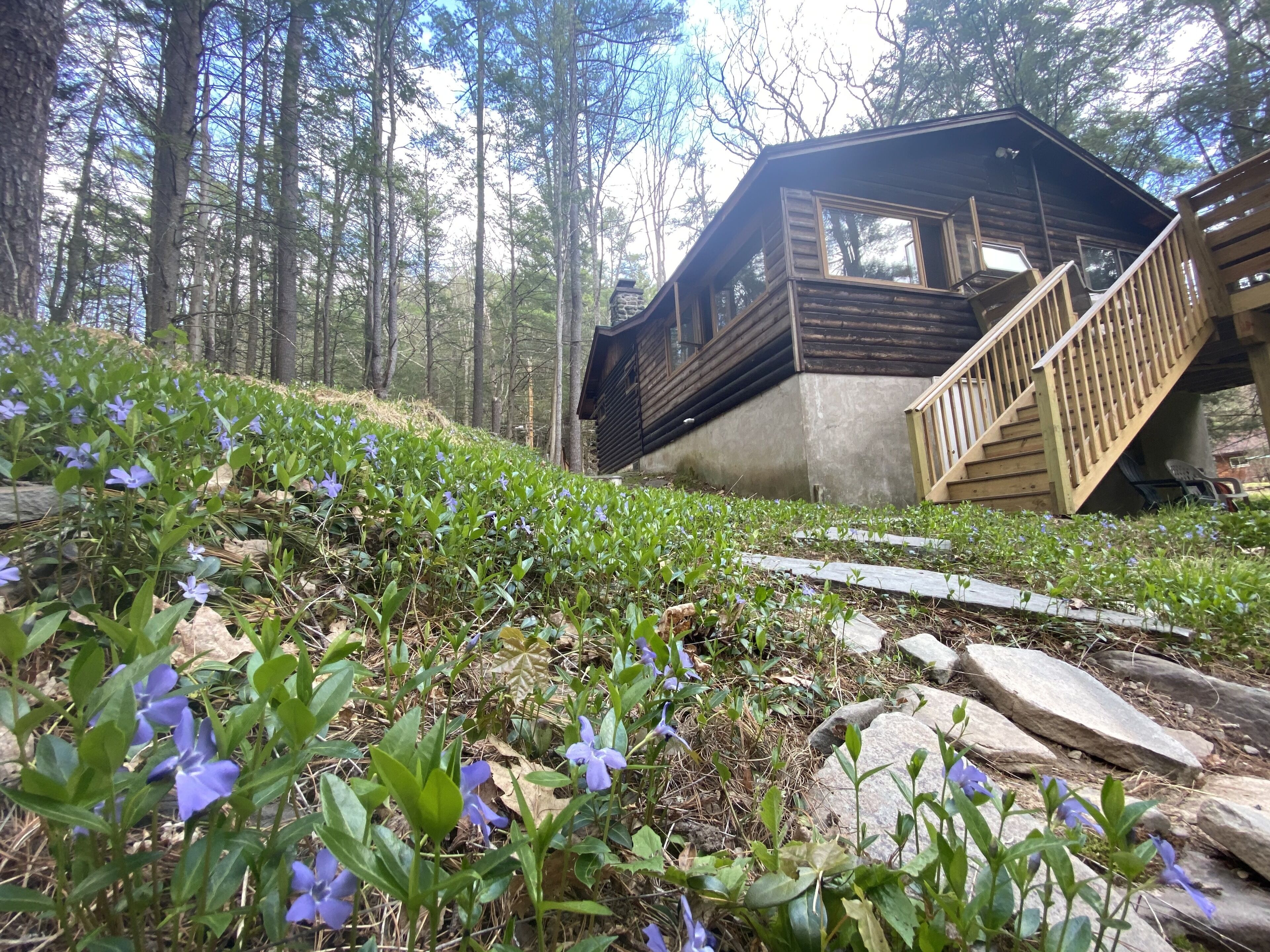 Serene Waterfront Log Cabin on 1 Wooded Acre with NEW REDUCED RATES FOR 2024!