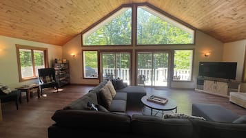 Télévision, cheminée, jeux vidéo, lecteur de DVD