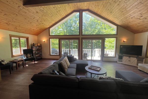 Televisor, llar de foc, videojocs i reproductor de DVD