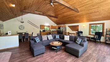 Télévision, cheminée, jeux vidéo, lecteur de DVD