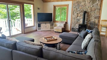 电视、壁炉、电子游戏、DVD 播放器