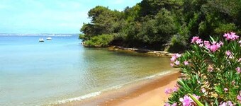 Amazing 2 Bedroom Apartment  5 minutes walk to beach!