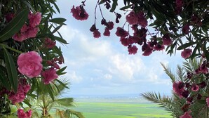 Un jardín con vistas a campos verdes, un sendero y formaciones rocosas.