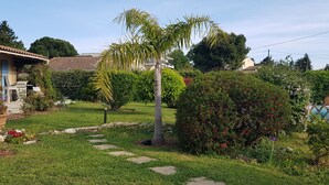Un jardín bien cuidado con una palmera, un seto con flores rojas y un camino de piedra.