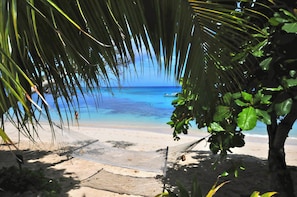 A beach with a hammock, palm trees, and a clear blue sea. - Blue Lagoon Beach Resort (Nacula Island)
