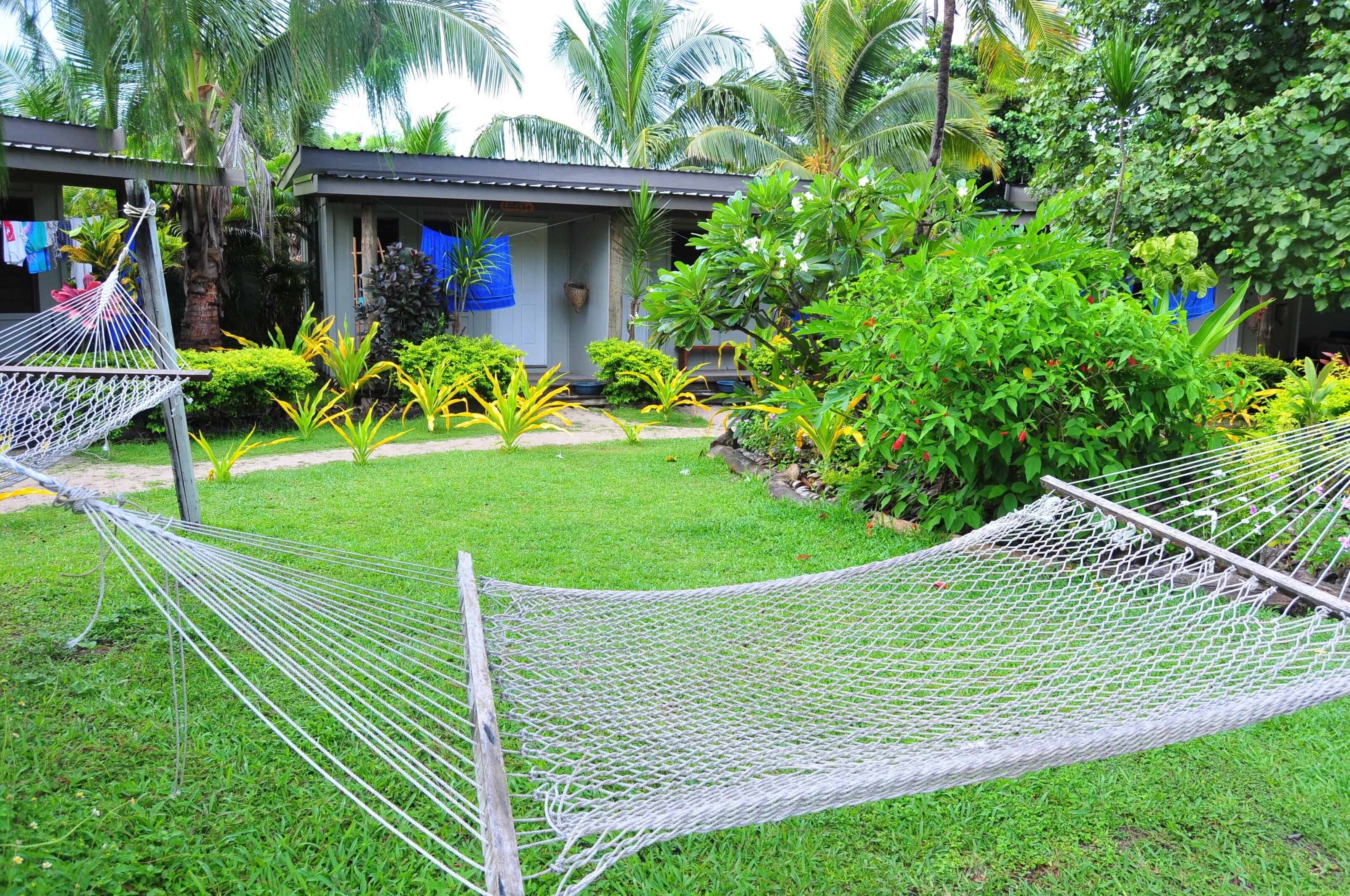 bula lodge | garden view