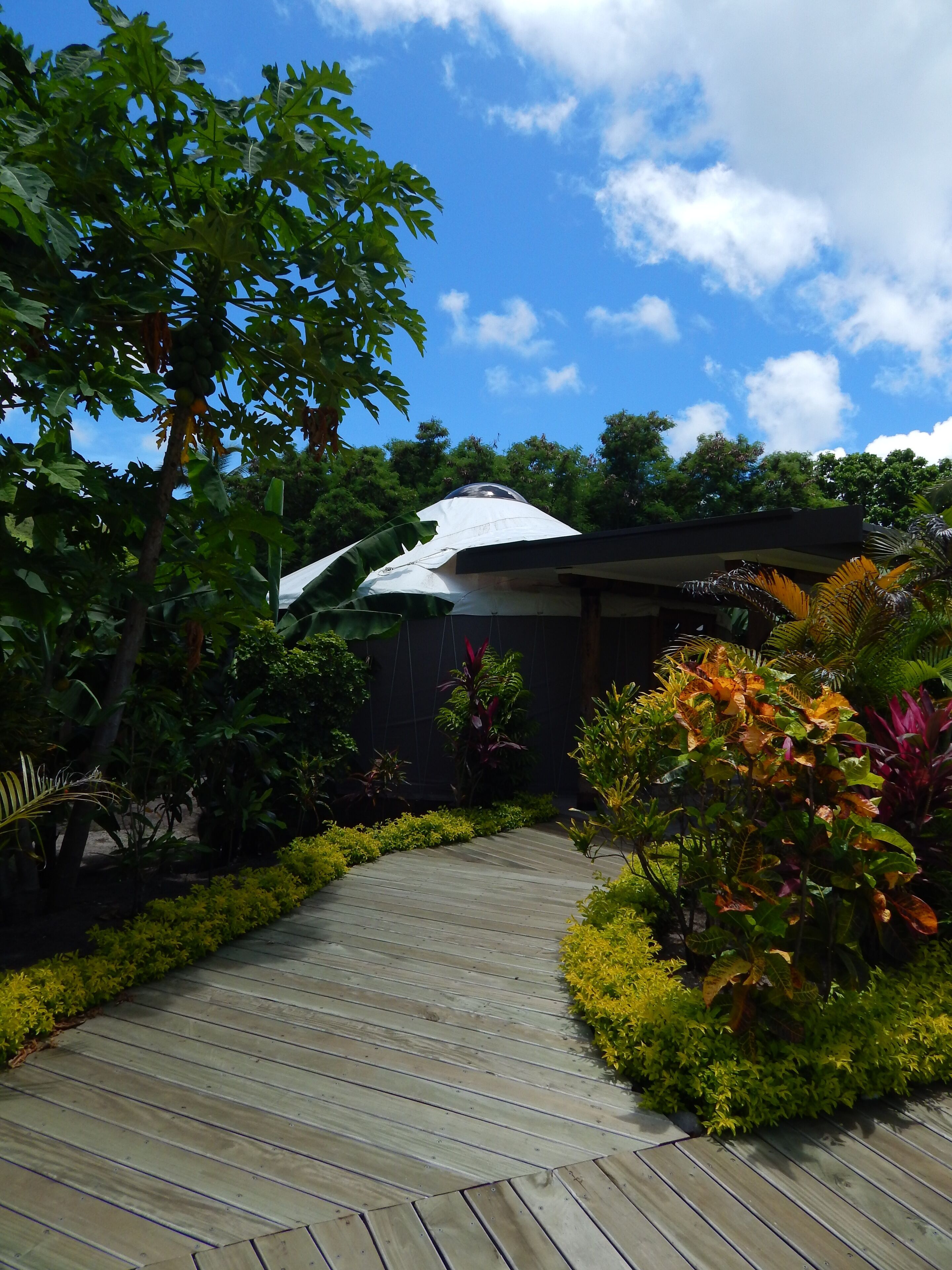 A wooden pathway leading to a covered structure surrounded by lush greenery and various plants.