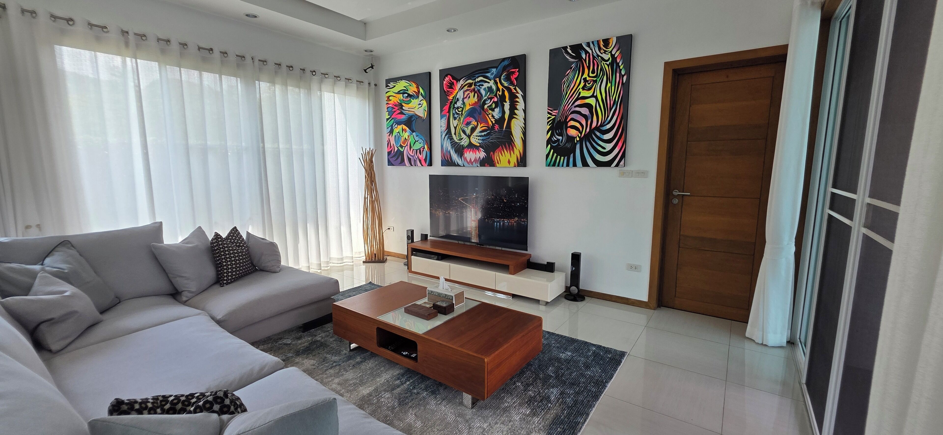 Televisio, DVD-soitin, kirjoja, videokirjasto