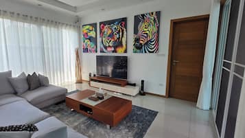 Televisio, DVD-soitin, kirjoja, videokirjasto