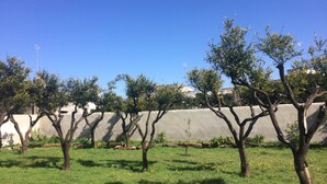 A grassy area with trees and a concrete wall.