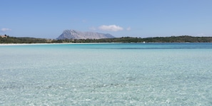 Plage à proximité, chaises longues