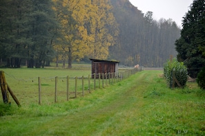 Overnattingsstedets uteområder