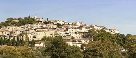 A densely packed hillside town with historic buildings, surrounded by trees and a clear sky.