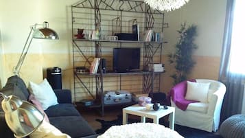 Télévision, lecteur de DVD, livres