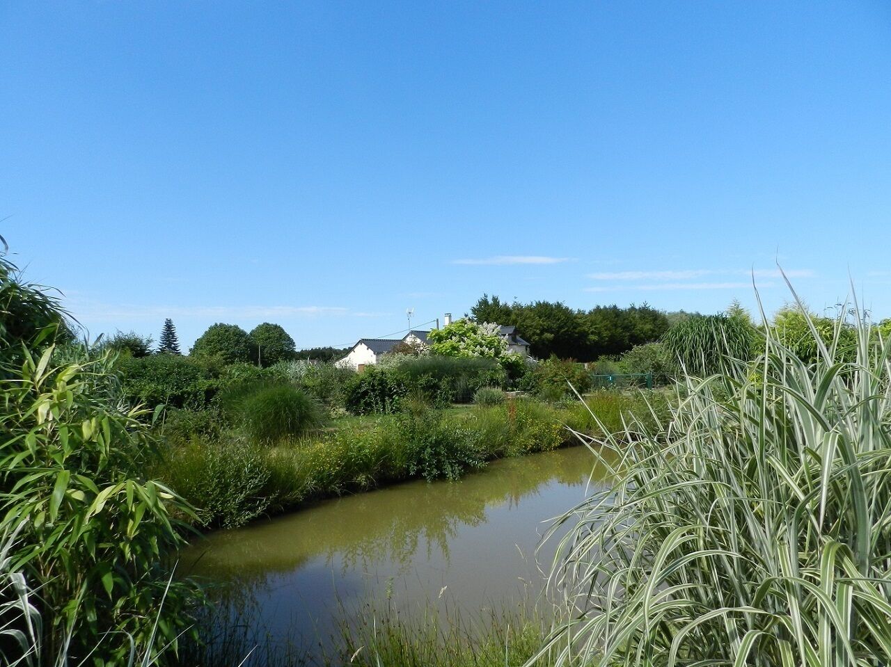 Un cadre paisible au bord de la rivière, avec une végétation luxuriante et une étendue d’eau calme.