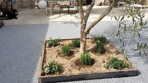 An outdoor seating area with a table and chairs, surrounded by olive trees and a garden bed with plants. - Provencal farmhouse with pool  (Joucas)
