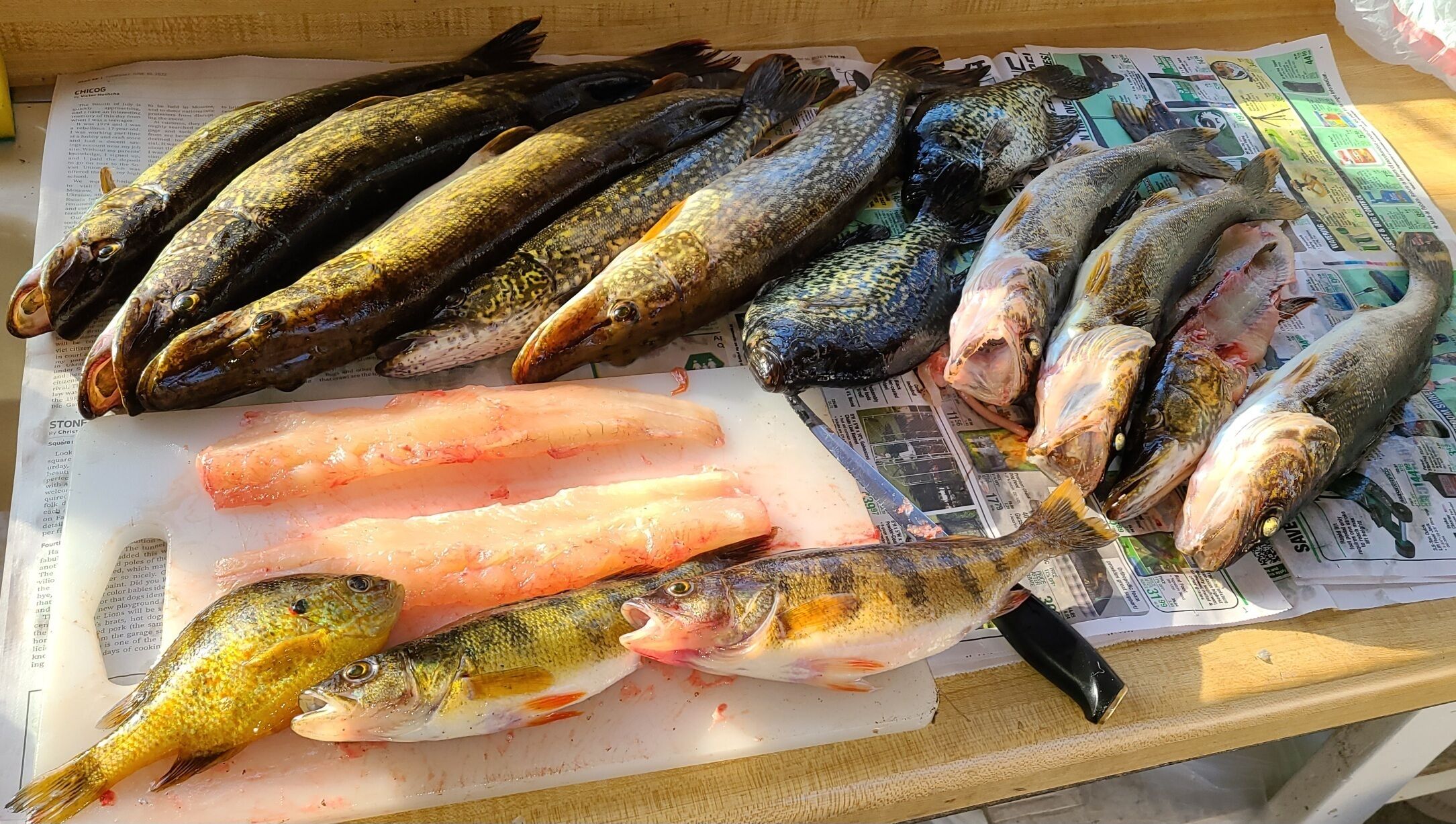 A variety of fresh fish displayed on a newspaper-covered surface.