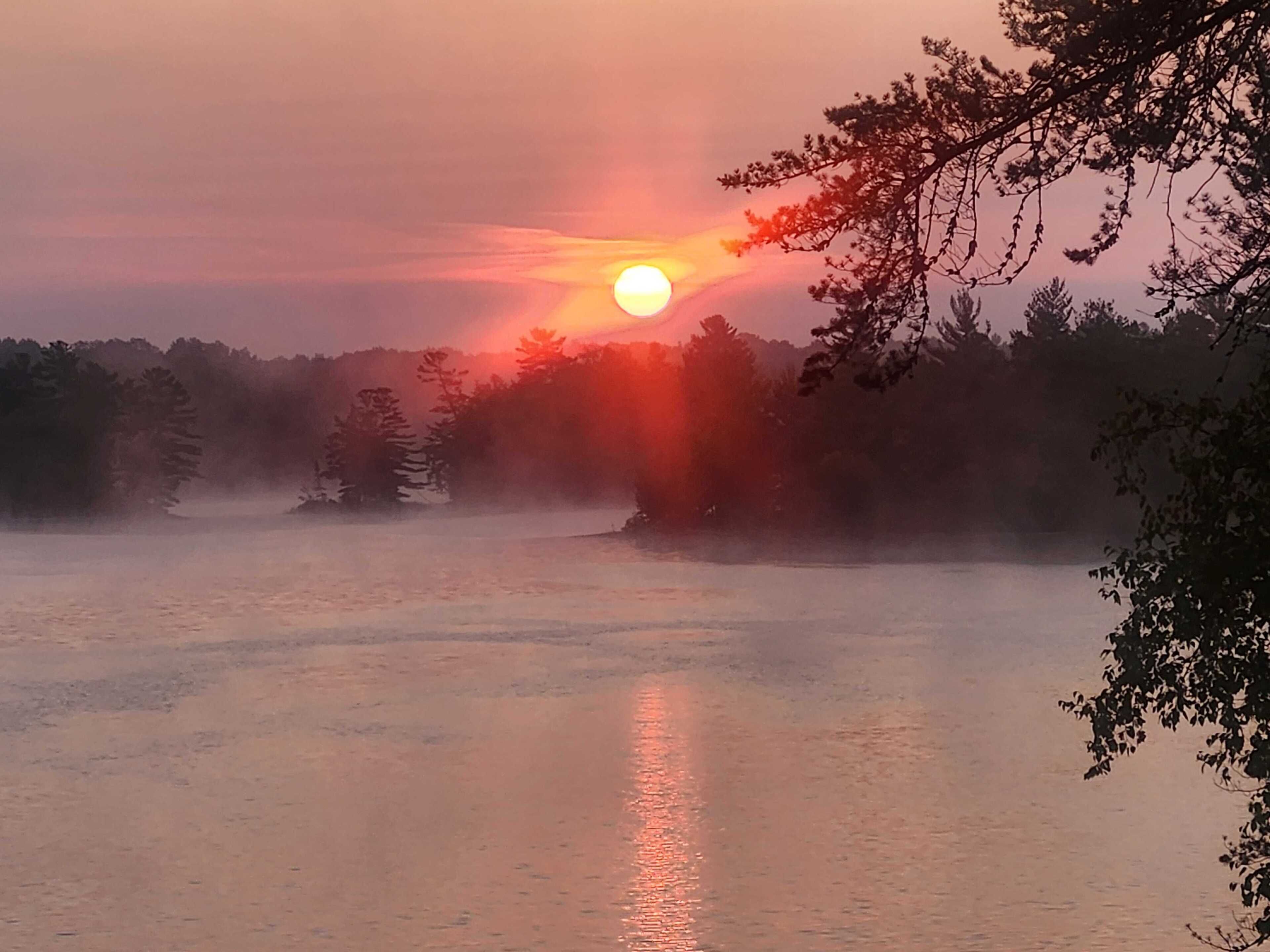 Un atardecer sobre una masa de agua con árboles en primer plano.