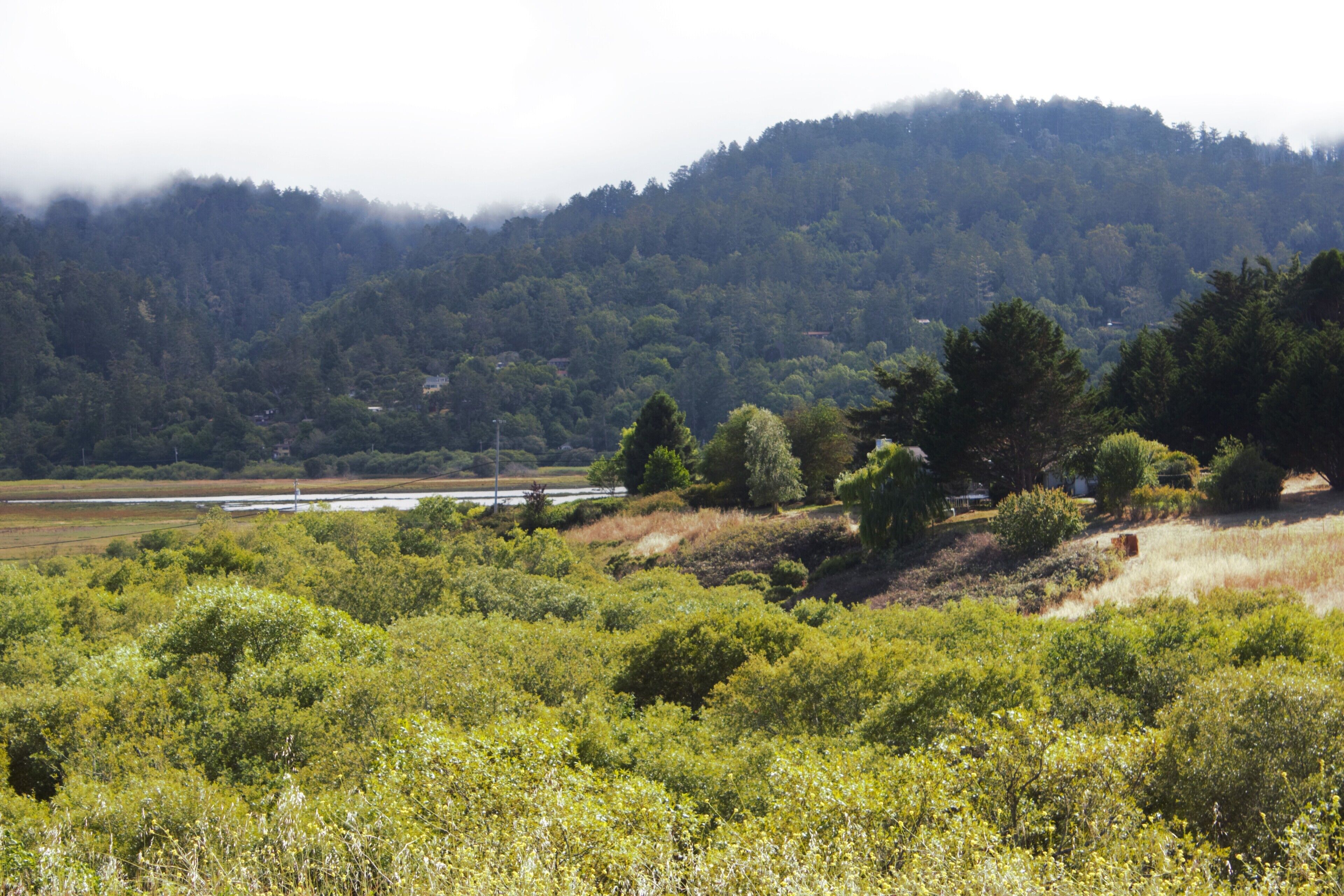 A natural landscape with dense greenery, a river, and a hill in the background.