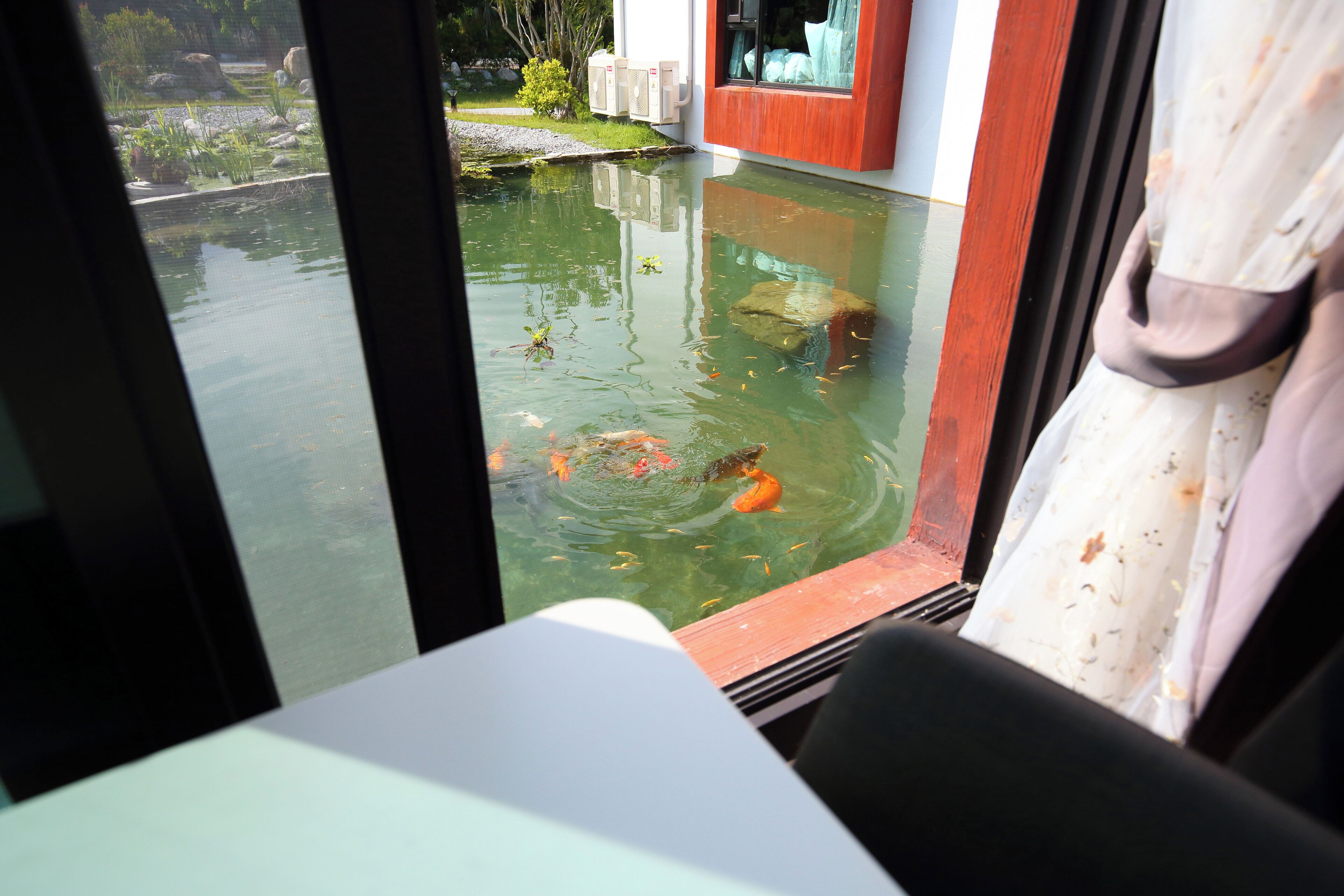 A view of a koi pond through a window, with a table and chair in the foreground.