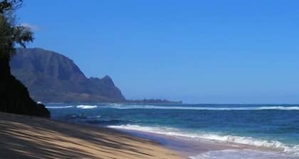 Kauai Luxurious W / AC Oceanfront Puu Poa Condo-Whale Watching en su mejor momento