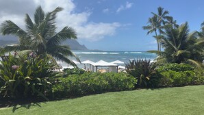 A coastal view with palm trees, a grassy area, and a beach with umbrellas.