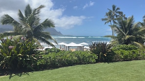 A coastal view with palm trees, a grassy area, and a beach with umbrellas.