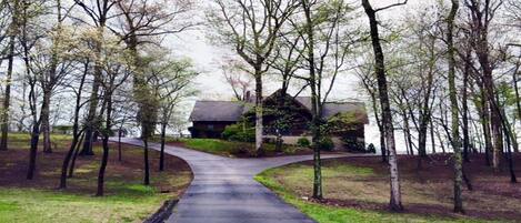 Área da propriedade