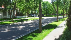 A tree-lined street with a sidewalk and parked cars. - Quiet, Walkable Prospect Retreat near Boulder, Denver, RMNP and Skiing (Longmont)