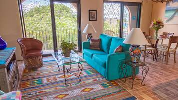 Smart TV, DVD player, books, video library