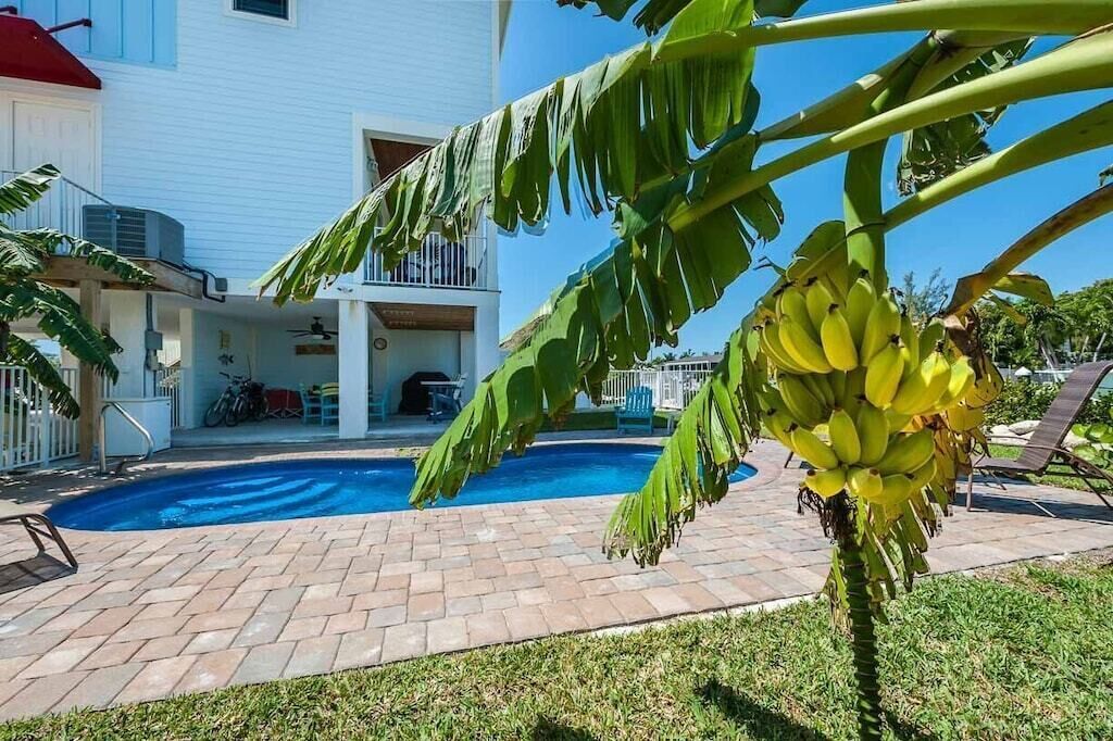 A swimming pool, a white building, and a banana tree.