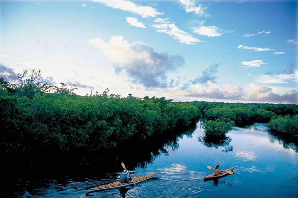 Ein ruhiger Fluss, gesäumt von üppigem Grün, mit zwei Kanus und Paddlern.